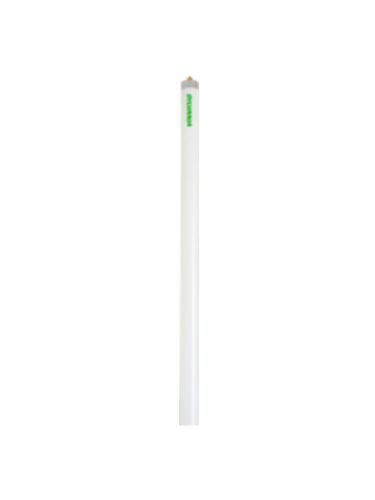 ledvance_fo96841xpeco_1