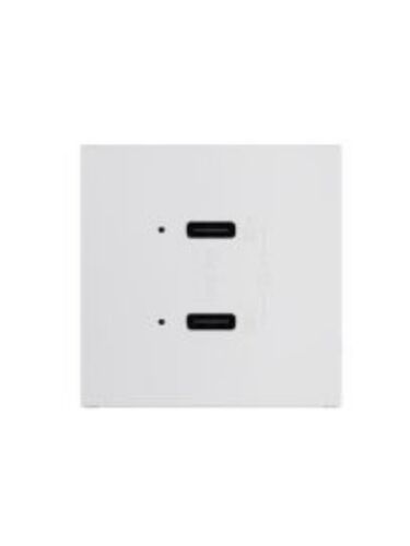 legrand_arusb65pdw4_1