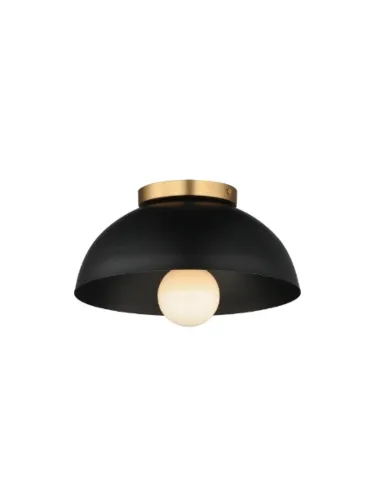 maxim-lighting_10020bknab