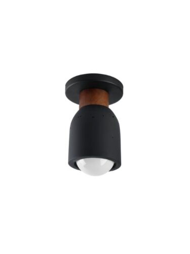 maxim-lighting_10629lvbk