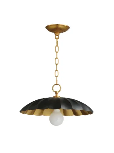 maxim-lighting_18055bkgl