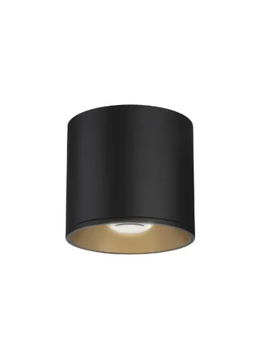 maxim-lighting_86212bk