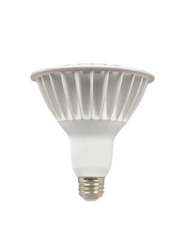 maxim-lighting_bl16par38ft120v30