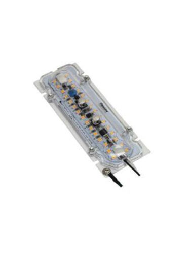 maxlite_10lelk5.5b930