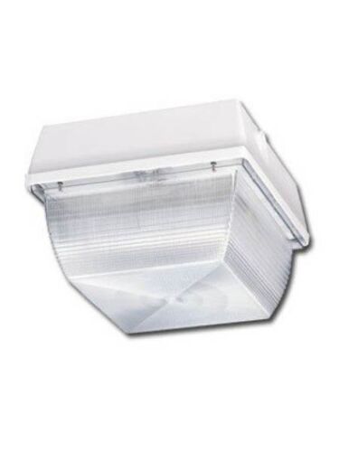 naturaled_led-fxscm42-50k-wh