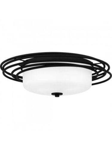 quoizel-lighting_cpe1620mbk