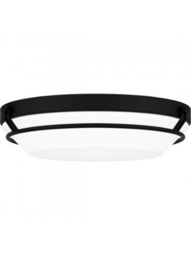 quoizel-lighting_dnb1616mbk