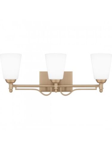 quoizel-lighting_esr8623bgd_1