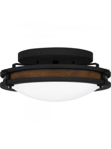 quoizel-lighting_qfl5610ni