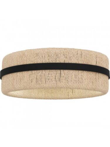 quoizel-lighting_qfl6220mbk_1