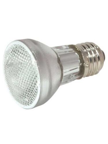 satco_s2303
