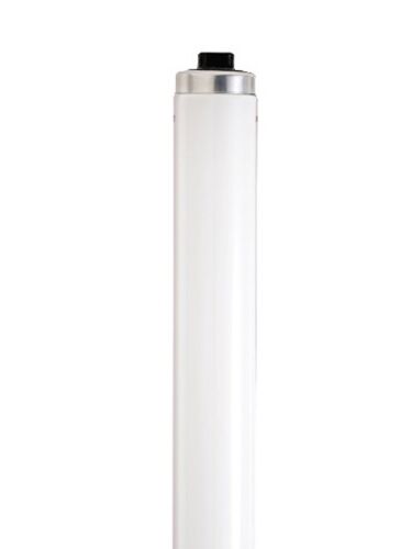 satco_s5454