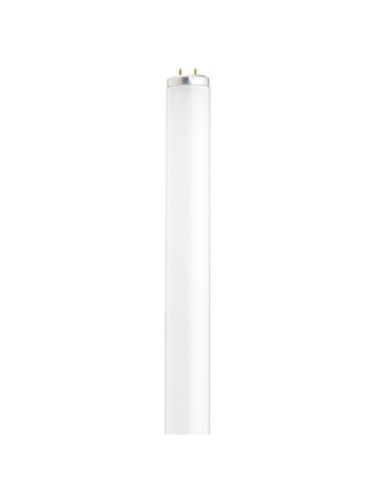 satco_s6580