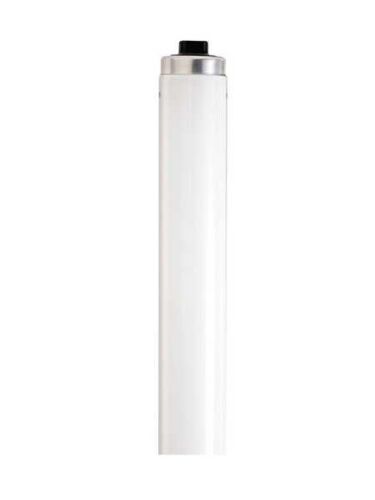 satco_s6590