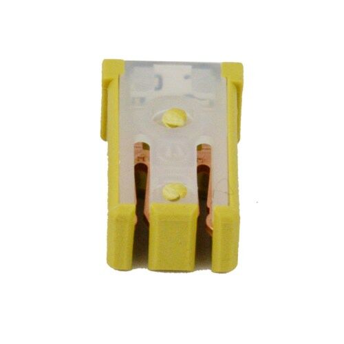 techspan_tech-766901_1