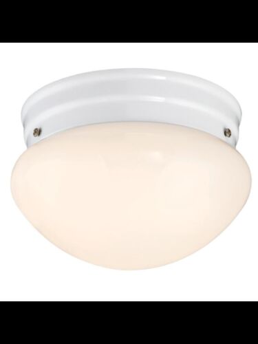 westinghouse_6107100