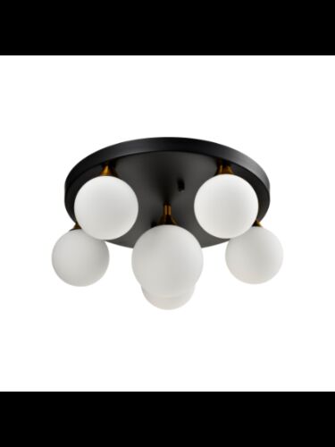 young-lighting_1371fm6