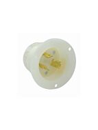 LC_IMG_JPG_325_4586-C