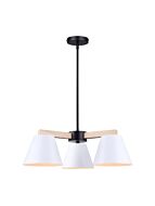 canarm_ich1124a03bww