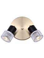 canarm_icw1161a02bkg10_1