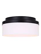 canarm_ifm2029b12bk_1