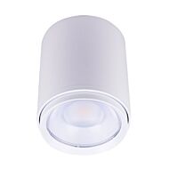 CSC LED lighting CYL-35W-3P-4CCT-UD-WH White Cylinder Light with Wattage and CCT Selectable Feature