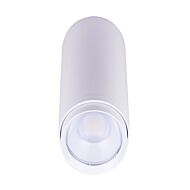 csc-led_cyl-35w-3p-4cct-ud-wh_1