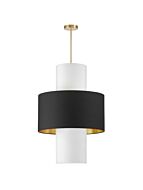 dainolite_poa-224p-agb-698-790