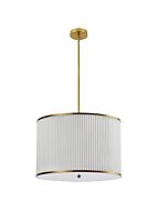 dainolite_prd-243p-agb