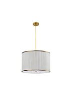 dainolite_prd-243p-agb
