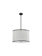dainolite_prd-243p-mb