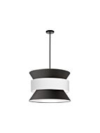 dainolite_qua-244p-bk-wh