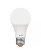 green-creative_6a19dim-930