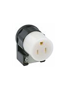 lc_img_jpg_325_5269-CA