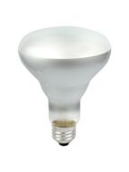 ledvance_45br30-fl-rp-120v