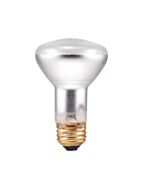 ledvance_45r20-dl-rp-120v_1