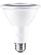 maxim-lighting_bl10par30ft120v30