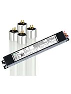 maxlite_l25t5ex440dr4l25