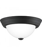 quoizel-lighting_erw1611mbk