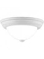 quoizel-lighting_erw1611w