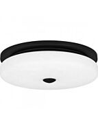 quoizel-lighting_tav1615mbk