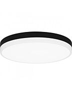 quoizel-lighting_wln1615mbkw