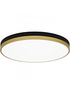 quoizel-lighting_wln1620mbkg