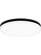 quoizel-lighting_wln1620mbkw