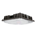 Canopy Lights
