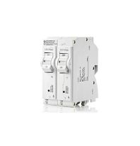 surge protective circuit breakers
